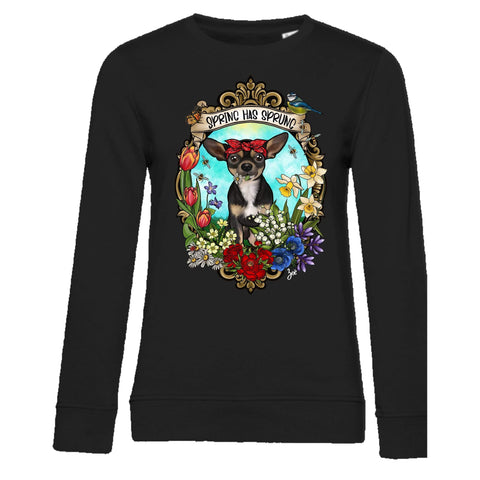 MYTi23 - Pets Heads Philosophy Sweat Shirts XS Spring Damen Sweatshirt Kurzhaar Chihuahua Hundeshirt Hundefans